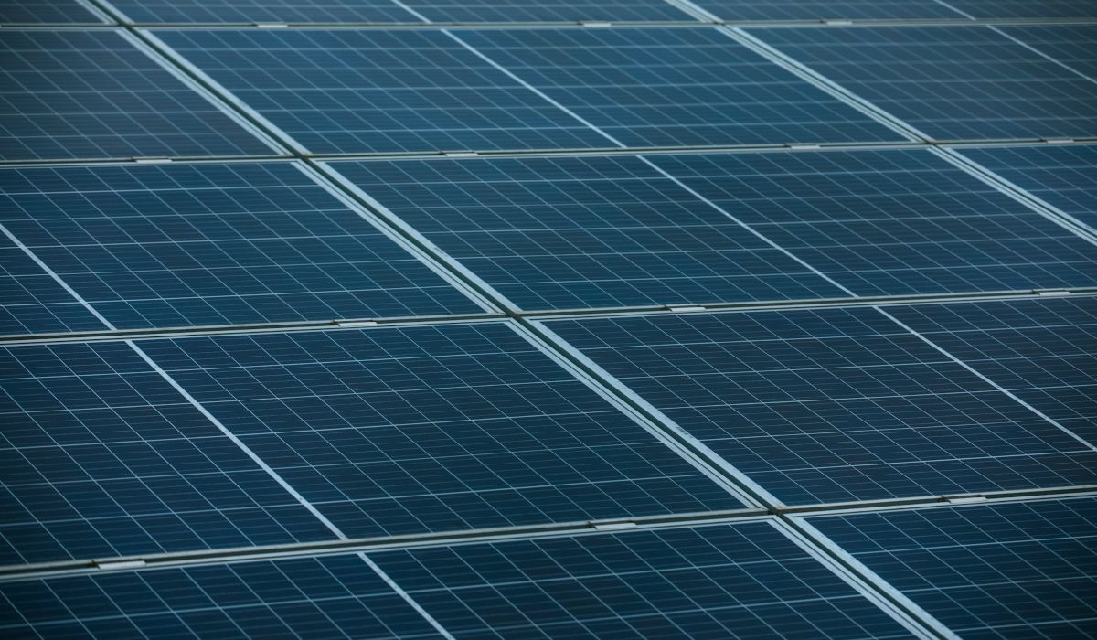 Factores a Considerar al Elegir un Panel Solar