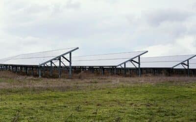 Principales usos de los paneles solares en el sector agropecuario